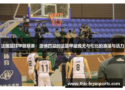 法国篮球甲级联赛：激情四溢的法篮甲呈现无与伦比的浪漫与活力